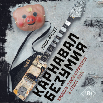 Обложка книги «Карнавал Безумия. Хроники саморазрушения в стиле панк»