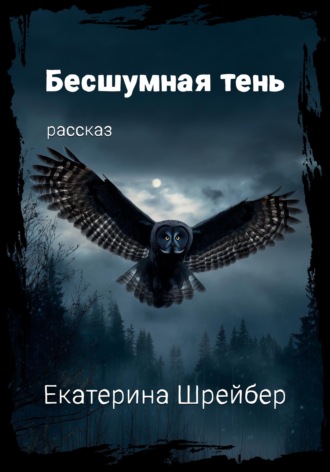 Обложка книги «Бесшумная тень»