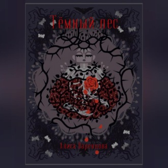 Обложка книги «Тёмный лес»