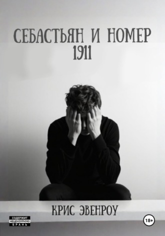 Обложка книги «Себастьян и номер 1911»