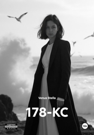 Обложка книги «178-КС»