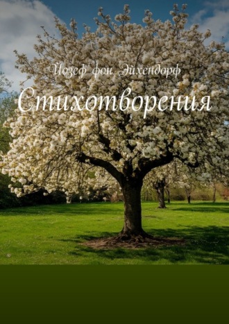Обложка книги «Стихотворения»