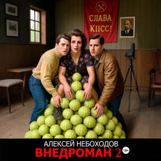 Обложка книги «Внедроман 2»