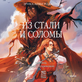 Обложка книги «Из стали и соломы»