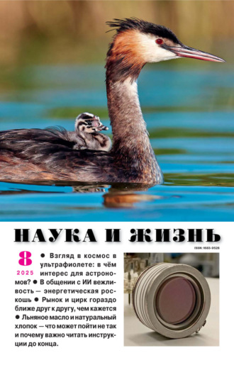 Обложка книги «Наука и жизнь №08/2025»