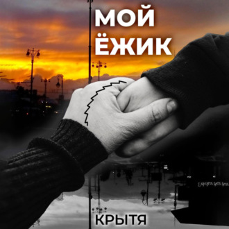 Обложка книги «Мой ёжик»