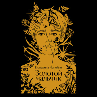 Обложка книги «Золотой мальчик»