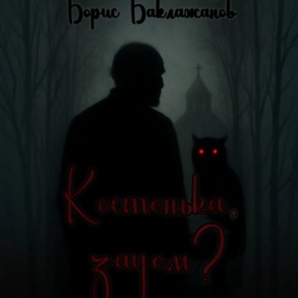 Обложка книги «Костенька, зачем?»