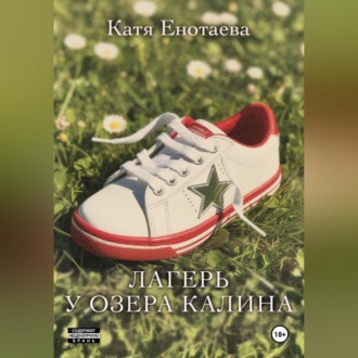 Обложка книги «Лагерь у озера Калина»