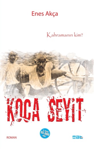 Обложка книги «Koca seyit»