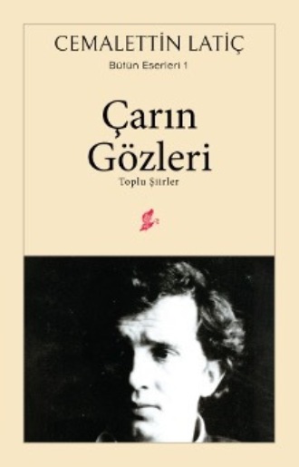 Обложка книги «Çarın gözleri»