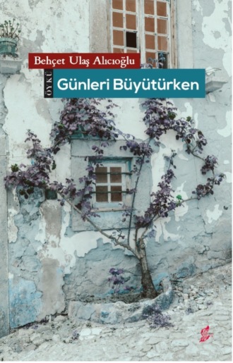 Обложка книги «Günleri büyütürken»