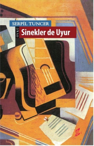 Обложка книги «Sinekler de uyur»