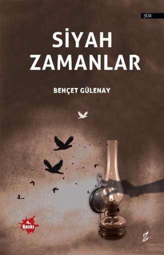 Обложка книги «Siyah zamanlar»