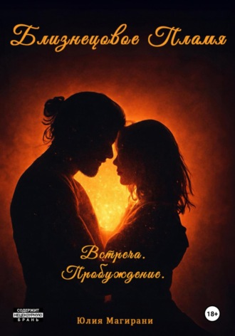 Обложка книги «Близнецовое Пламя. Встреча. Пробуждение»