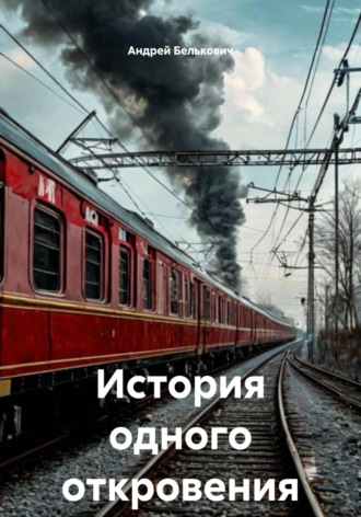 Андрей Николаевич Белькович. История одного откровения