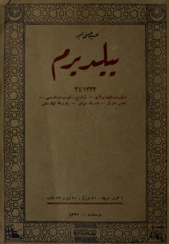 Обложка книги «Yıldırım»