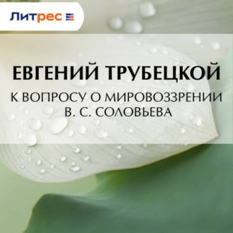 Обложка книги «К вопросу о мировоззрении В. С. Соловьева»