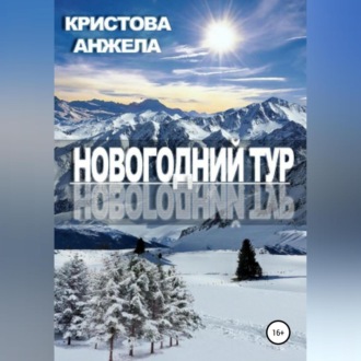 Обложка книги «Новогодний тур»