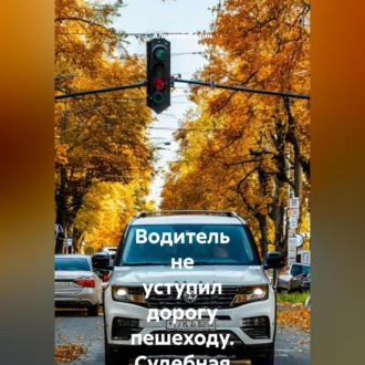 Обложка книги «Водитель не уступил дорогу пешеходу. Судебная практика кассационных судов»