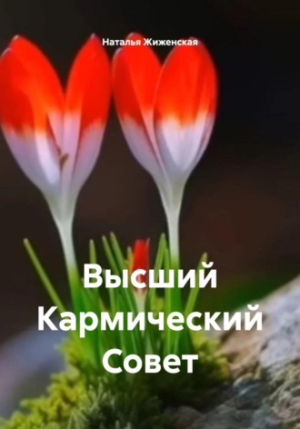 Обложка книги «Высший Кармический Совет»