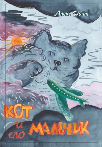 Обложка книги «Кот и его мальчик»
