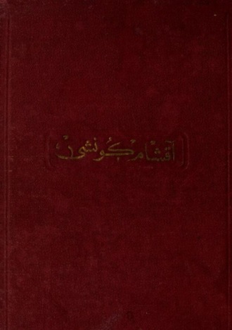 Обложка книги «Akşam güneşi»