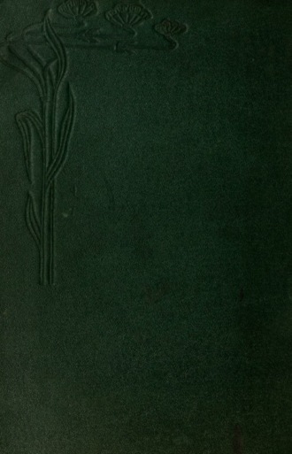 Обложка книги «Tercüme-yi Risale-yi Sipahsalar bimenakıb-i hazret-i Hüdavendigār kuddise sırrehü 'l-aʻlā»