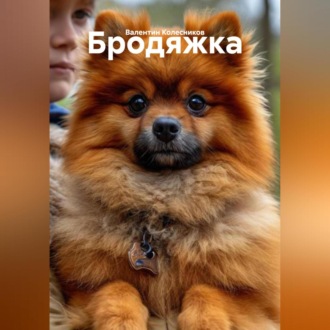 Обложка книги «Бродяжка»
