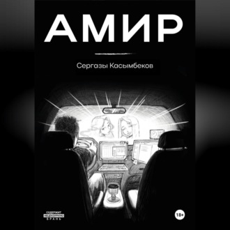 Обложка книги «Амир»