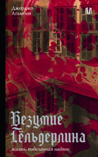 Обложка книги «Безумие Гёльдерлина. Жизнь, поделенная надвое»