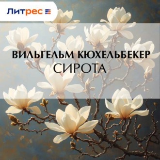 Обложка книги «Сирота»