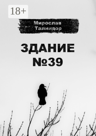 Мирослав Талиндор. Здание №39