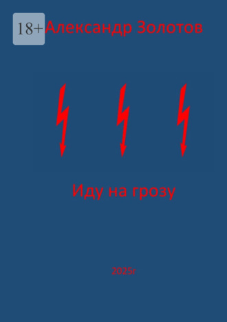 Обложка книги «Иду на грозу»