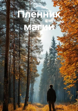 Обложка книги «Пленник магии»