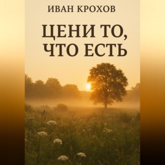 Обложка книги «Цени то, что есть»