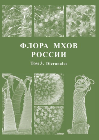 Обложка книги «Флора мхов России. Том 3. Dicranales»