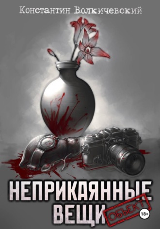 Обложка книги «Неприкаянные вещи. Объект»