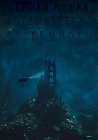 Обложка книги «Чёрная кошка отзывается из темноты»
