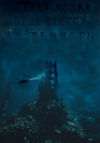 A..torCh. Чёрная кошка отзывается из темноты