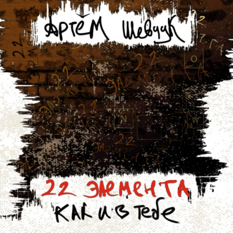 Обложка книги «22 элемента как и в тебе»