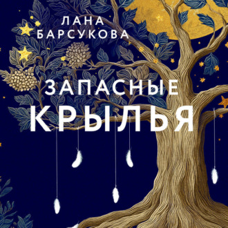 Обложка книги «Запасные крылья»