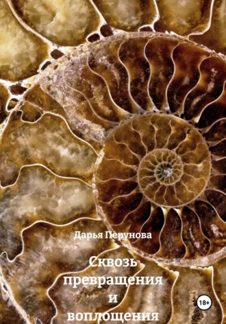 Обложка книги «Сквозь превращения и воплощения»