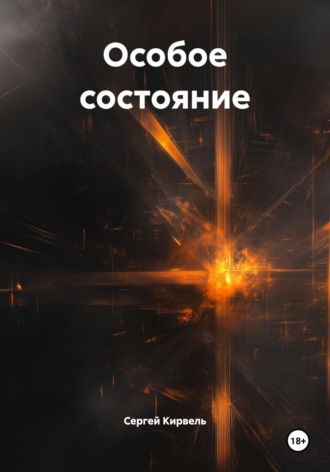 Обложка книги «Особое состояние»