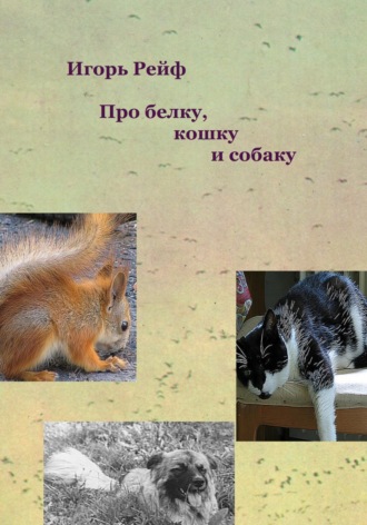 Обложка книги «Про белку, кошку и собаку»