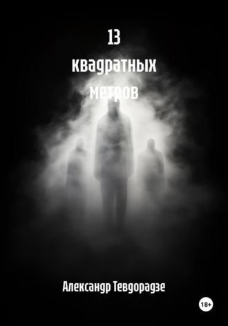 Обложка книги «13 квадратных метров»