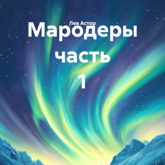 Обложка книги «Мародеры часть 1»