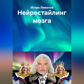 Обложка книги «Нейростайлинг мозга»