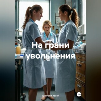 Обложка книги «На грани увольнения»