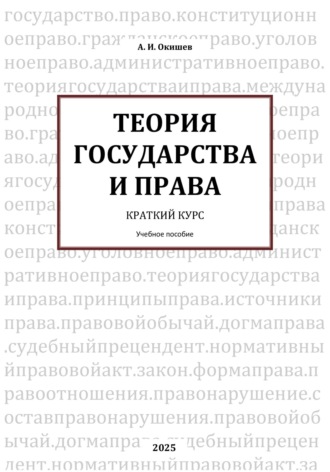 Обложка книги «Теория государства и права. Краткий курс»